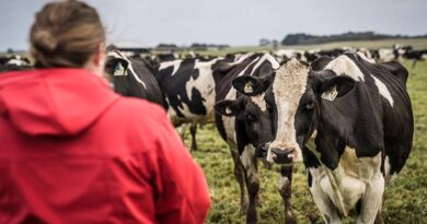 Australia: Elders for International Dairy Week 2022