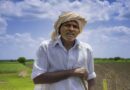 No Crop insurance for horticulture farmers of Madhya Pradesh for last 2 years