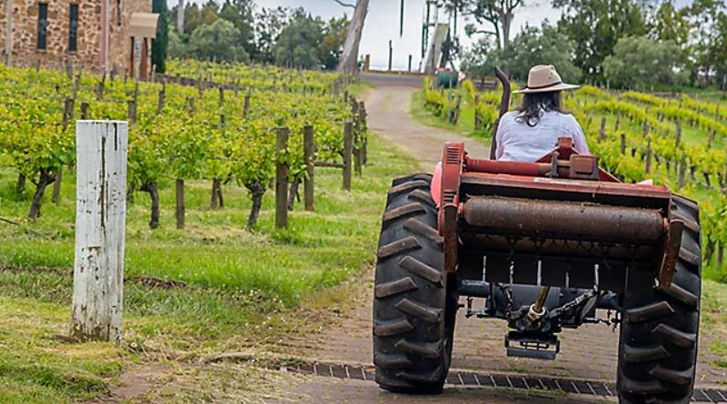 Australia’s Top 50 Vineyards in 2021