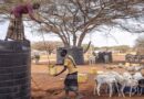 Horn of Africa: Swift aid for drought-affected farmers and herders needed to avoid a hunger crisis