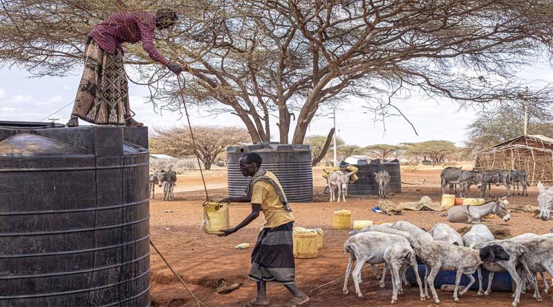 Horn of Africa: Swift aid for drought-affected farmers and herders needed to avoid a hunger crisis