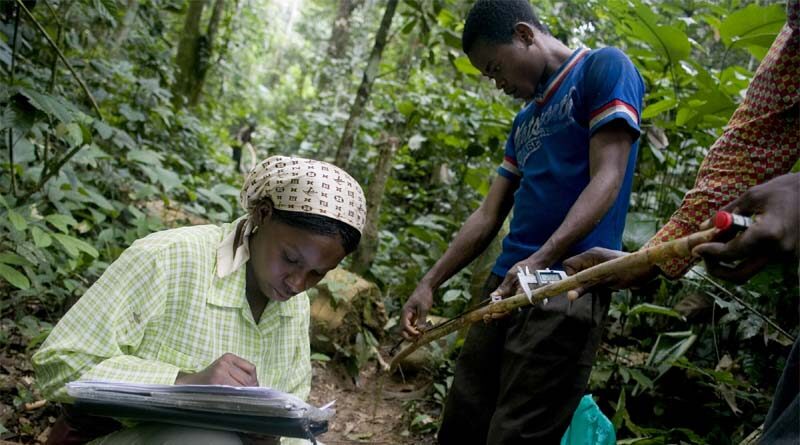 FAO and Finland scale up technical innovation to help African countries better monitor and manage forest resources
