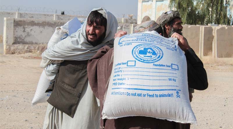 Afghanistan: FAO welcomes $65 million contribution from Asian Development Bank to boost agriculture and food security