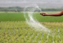 India looking at Urea and DAP production by using 'Green Hydogen'