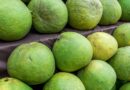 The US accepts to open the market for Vietnam’s pomelos