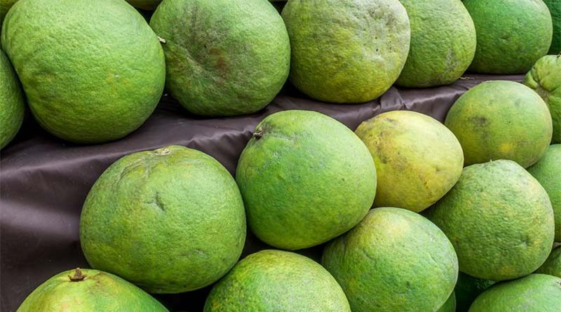 The US accepts to open the market for Vietnam’s pomelos
