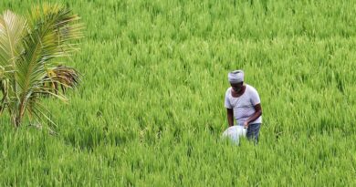 Union Budget 2022-23: Transformation Agriculture through irrigation and win back India’s farmer