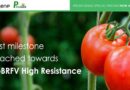 Nrgene and philoseed reach major milestone towards developing tobrfv high resistance tomato varieties