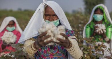 CABI reports good progress made in 2021 as part of its work with the Better Cotton Initiative in Pakistan