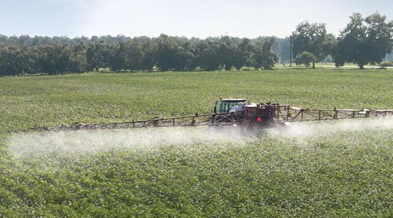 MagGrow System helps Fate Sparrow Farmer Improve Spray Coverage with Significant Chemical Savings