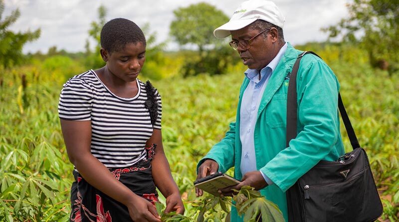 CABI and Euphresco network partnering to bolster global plant health research