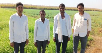 Farmers from Kathora village reaping good harvest from Kalonji (Black Cumin)