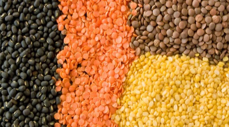Limited effect on Lentil after slashing taxes in India