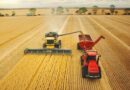 China ramps up farming technology support to ensure harvest