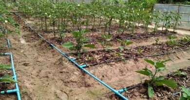 138 lakh ha covered under Micro Irrigation in India