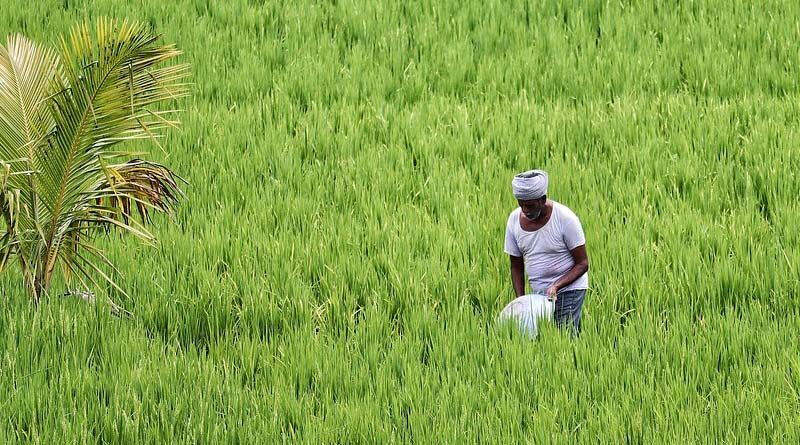 Madhya Pradesh Government transfers crop insurance benefit of 7,600 crores to farmers