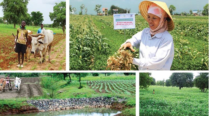 Icrisat@50: Putting Icrisat’s Evolution In Perspective- A Three Article Series