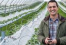 SproutX announces Business of Agriculture Pre-Accelerator Program