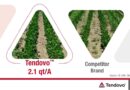 Syngenta announces EPA registration of Tendovo™ soybean herbicide
