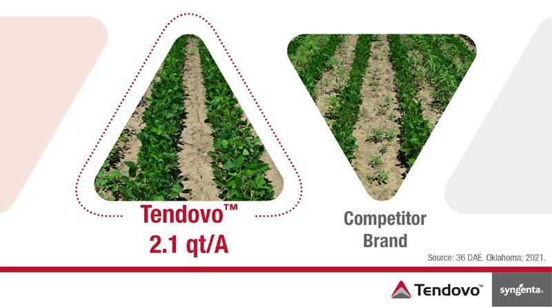 Syngenta announces EPA registration of Tendovo™ soybean herbicide