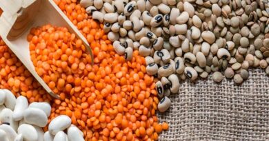 Indian Government may formulate long term policy to enhance pulses production