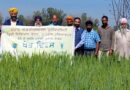 KVK, Hoshiarpur Organizes Field Day on Wheat Sown With Super Seeder
