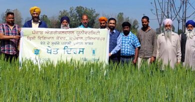 KVK, Hoshiarpur Organizes Field Day on Wheat Sown With Super Seeder