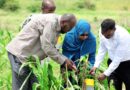 FAO welcomes decision to mark International Day of Plant Health annually on May 12