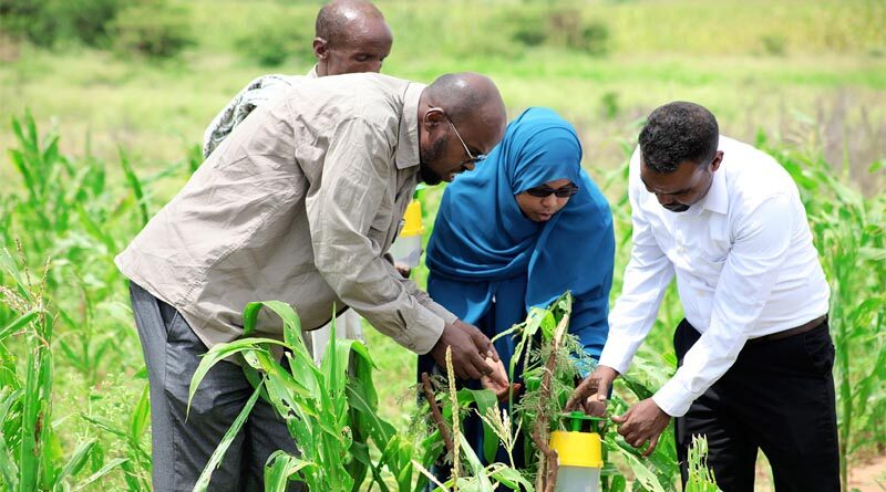 FAO welcomes decision to mark International Day of Plant Health annually on May 12