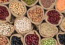 Australia: Grain legume growth targeted in new WA research