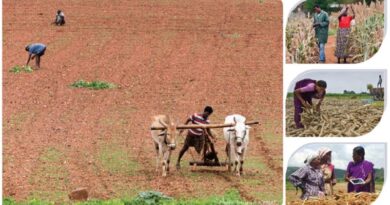 Icrisat@50: engagement with development of agriculture in drylands