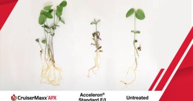 Syngenta introduces CruiserMaxx® APX soybean seed treatment for unmatched Pythium and Phytophthora protection