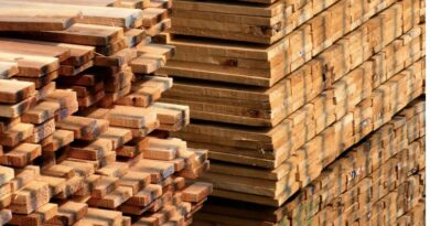 Vietnam targets $20 billion in timber exports by 2025