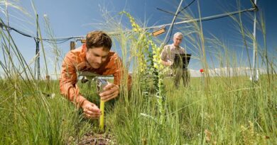 USDA-Agricultural Research Service and Weed Science Society of America Collaborate to Present Weed Science Webinar Series