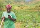 African agriculture’s digital revolution: UN report pinpoints main obstacles and opportunities