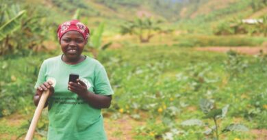 African agriculture’s digital revolution: UN report pinpoints main obstacles and opportunities