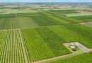 GRDC Research Updates uncover potential phosphorous savings