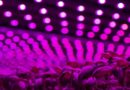 Future Crops Announces New Investment Round, Led by Tencent