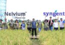 Provivi and Syngenta Crop Protection launch pheromone-based technology Nelvium™ to control detrimental rice pests