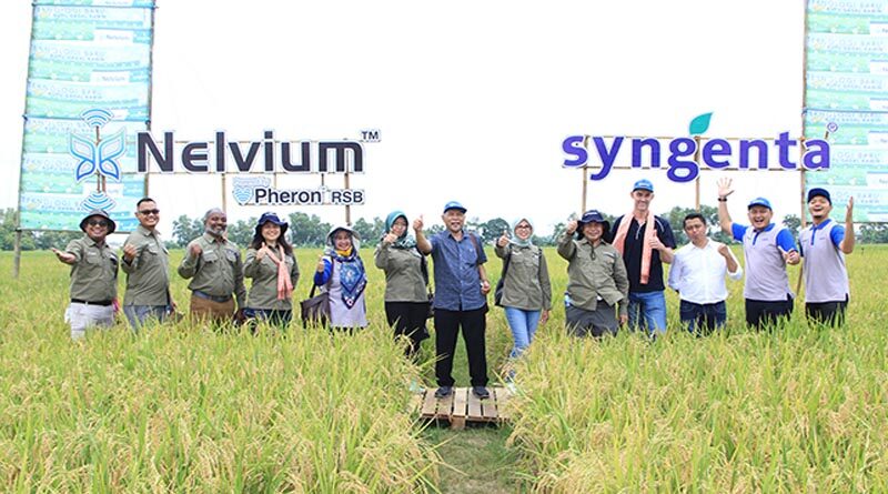 Provivi and Syngenta Crop Protection launch pheromone-based technology Nelvium™ to control detrimental rice pests