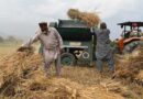 New Zealand to support vulnerable rural Afghan with emergency agricultural inputs and cash assistance