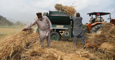 New Zealand to support vulnerable rural Afghan with emergency agricultural inputs and cash assistance