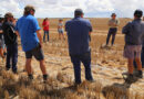 Australia: CSIRO tours address mouse control in WA’s regions