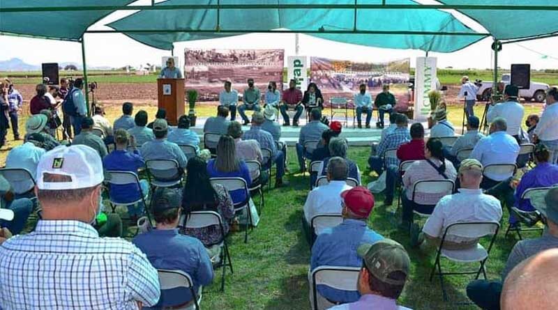 CIMMYT scientist recognized at the Day of the Farmer in Sonora