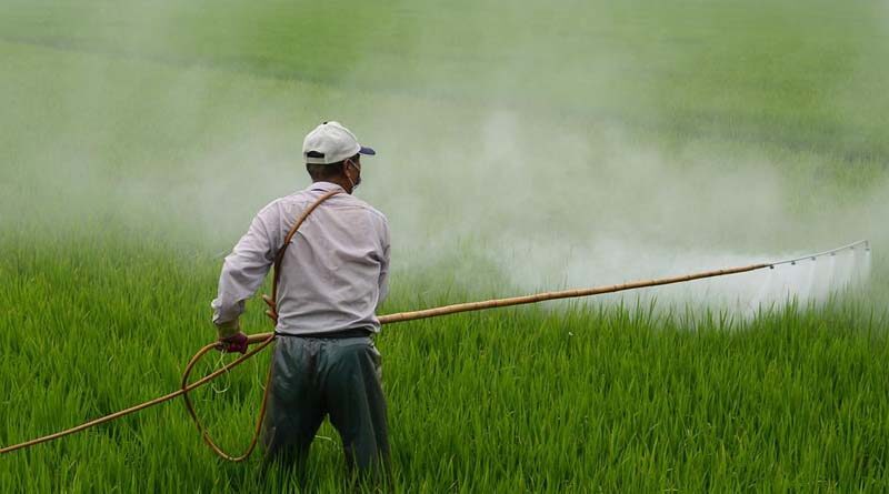 Less than 3 percent pesticides in Indian market misbranded FY 2021-22