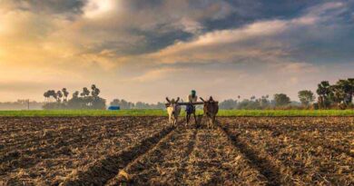 Farmers to get more than Rs. 2000 crore on saturday