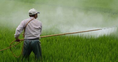 Debunking myths about Pesticide use in India