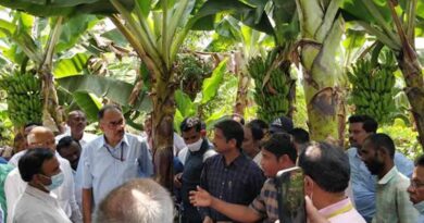 Ananthapur Banana Cluster to benefit 14 thousand banana farmers