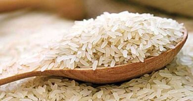 India's Non-basmati rice exports grew by 109% since 2013-14 to USD 6115 million