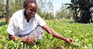 Just launched: CGIAR Initiative on Nature-Positive Solutions